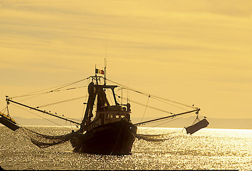Working Fishing Boat at Sunset